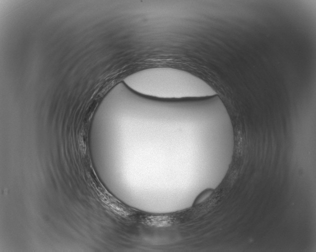 X0000086070377200703231020
