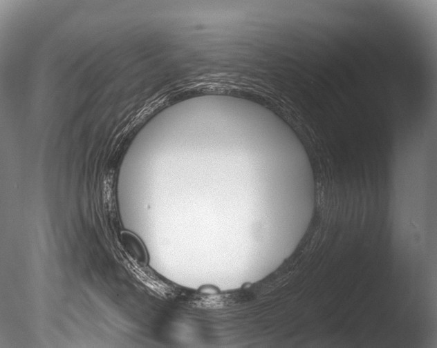 X0000086070382200703231020