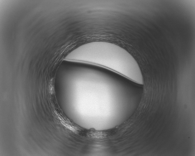 X0000086070383200703231020