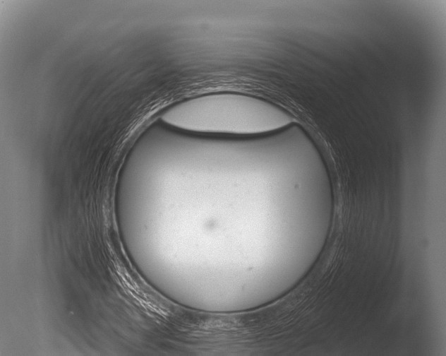 X0000086070386200703231019