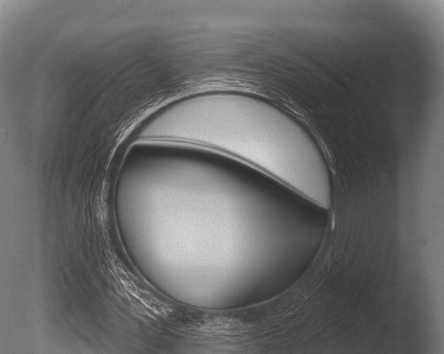X0000086070387200703231019