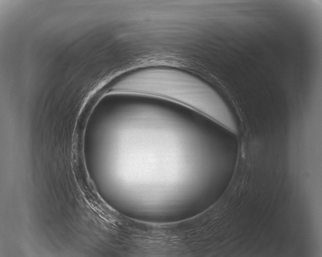 X0000086070388200703231019