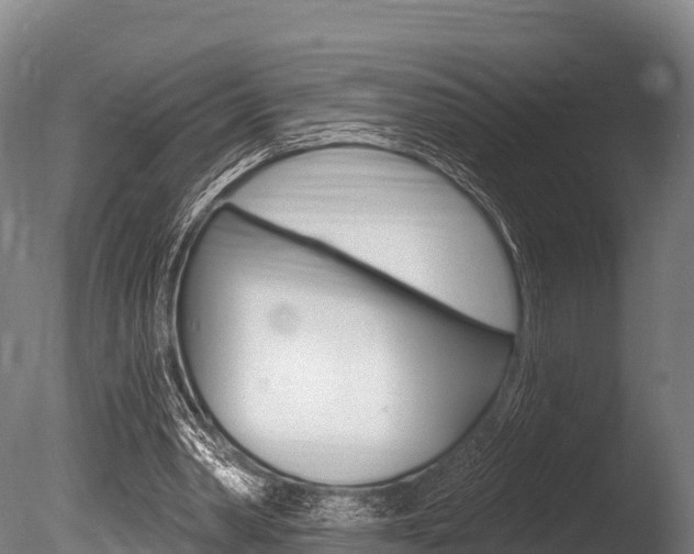X0000086070390200703231019