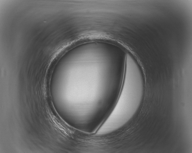 X0000086070391200703231019