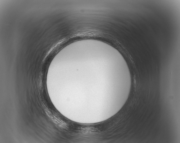 X0000086070396200703231019