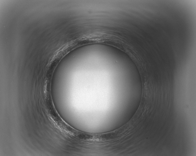 X0000086070404200703231019