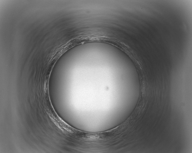 X0000086070405200703231019