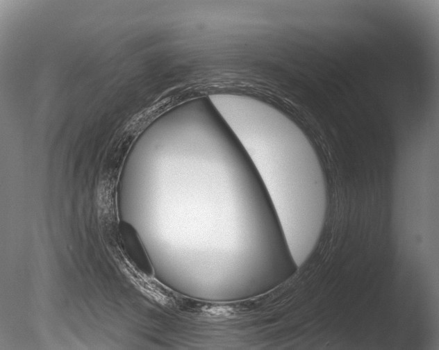 X0000086070409200703231019