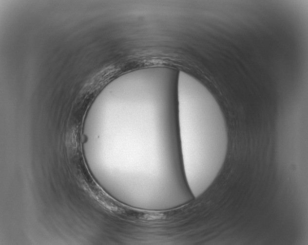 X0000086070410200703231019