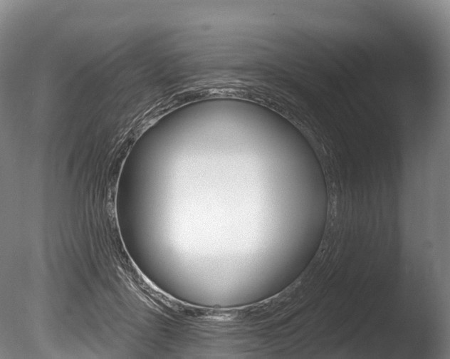 X0000086070411200703231019