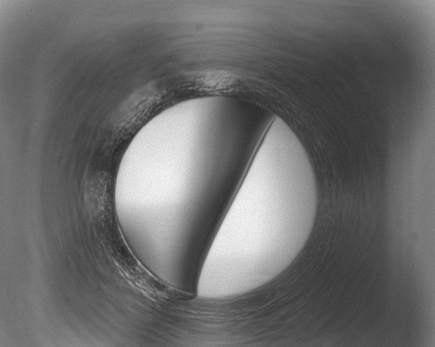 X0000086070412200703231019