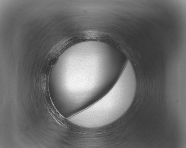 X0000086070413200703231019