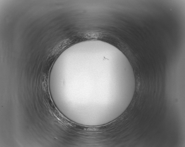 X0000086070414200703231019