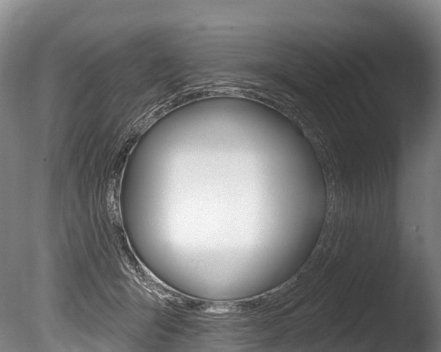 X0000086070415200703231019