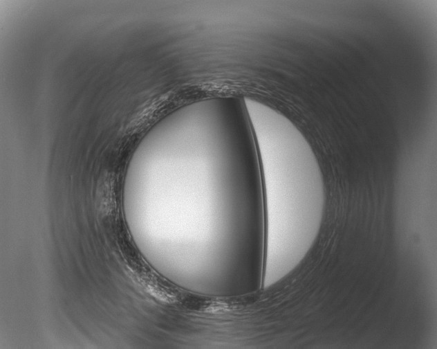 X0000086070416200703231019