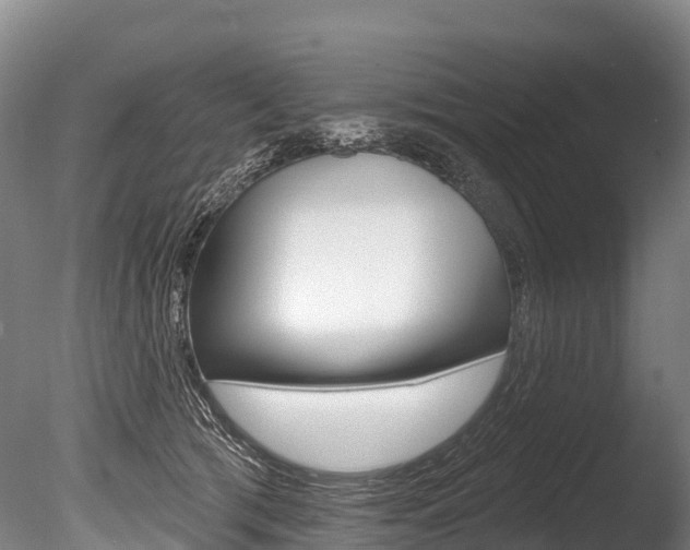 X0000086070417200703231019