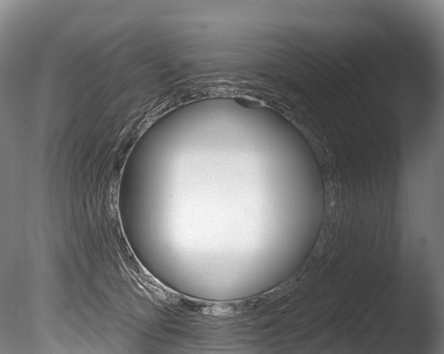 X0000086070419200703231019