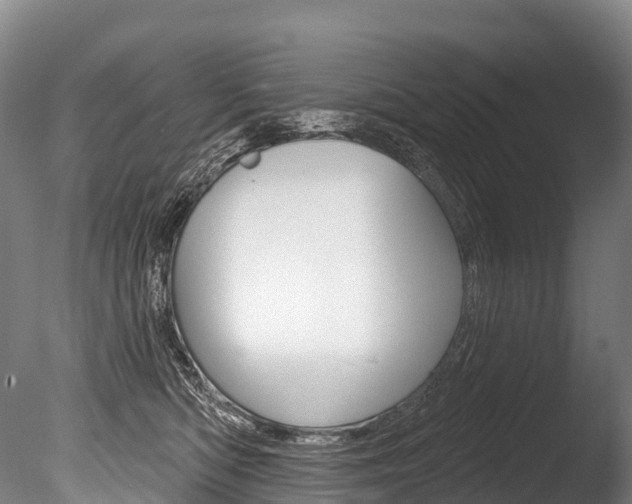 X0000086070422200703231018