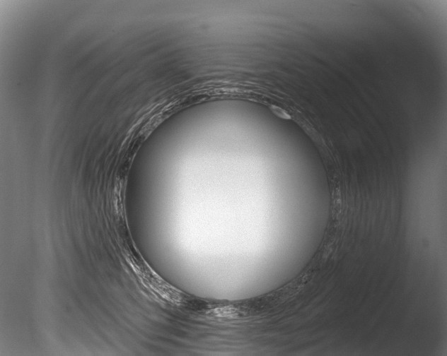 X0000086070423200703231018