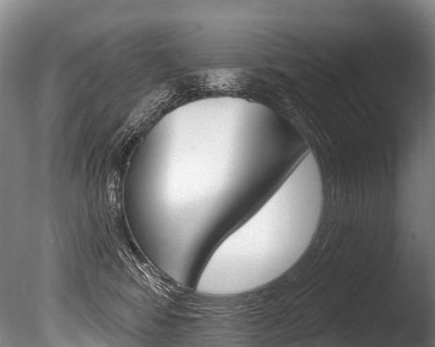X0000086070424200703231018
