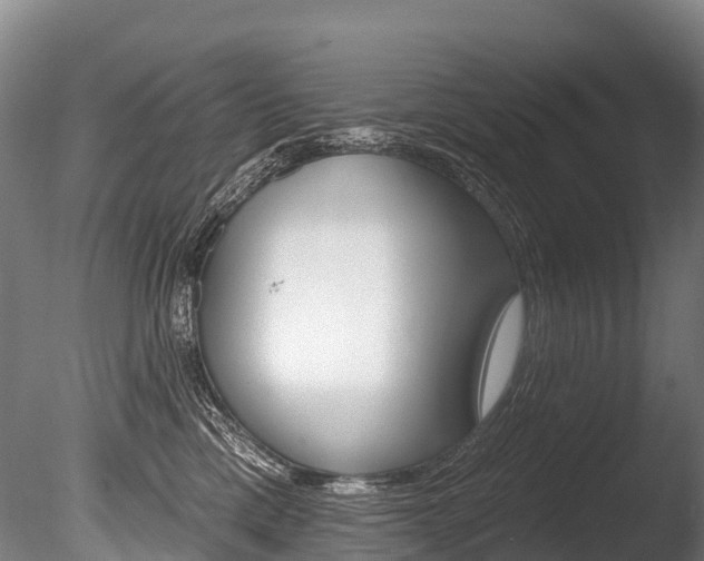 X0000086070425200703231018