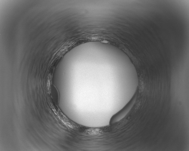 X0000086070427200703231018