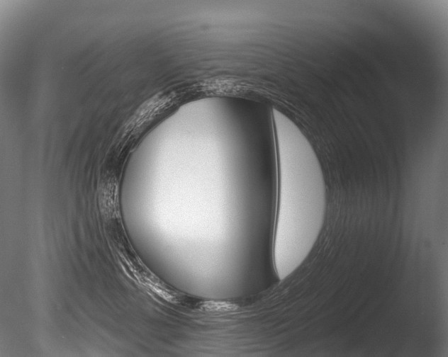 X0000086070429200703231018