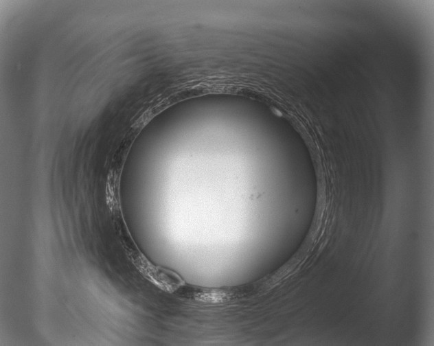 X0000086070432200703231018