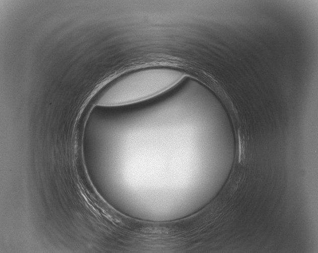 X0000086070435200703231017