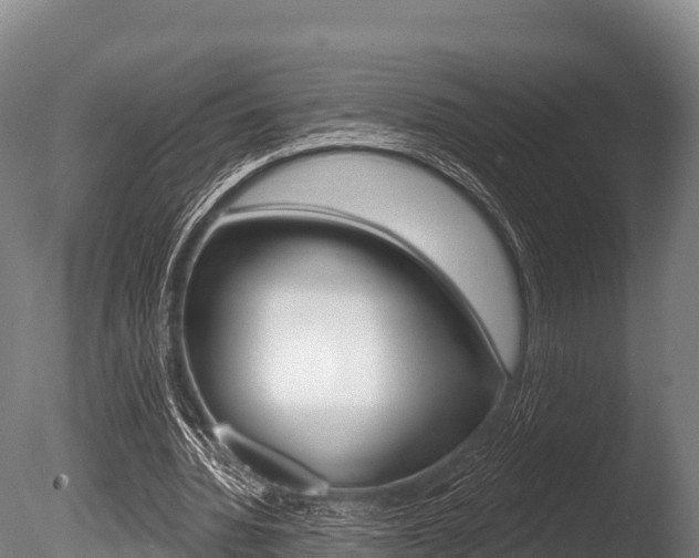 X0000086070436200703231018