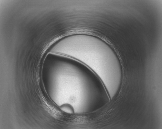 X0000086070438200703231018