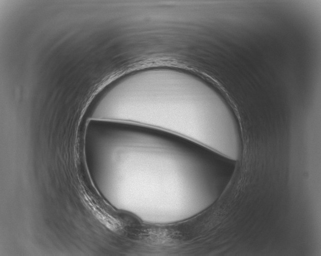 X0000086070439200703231018