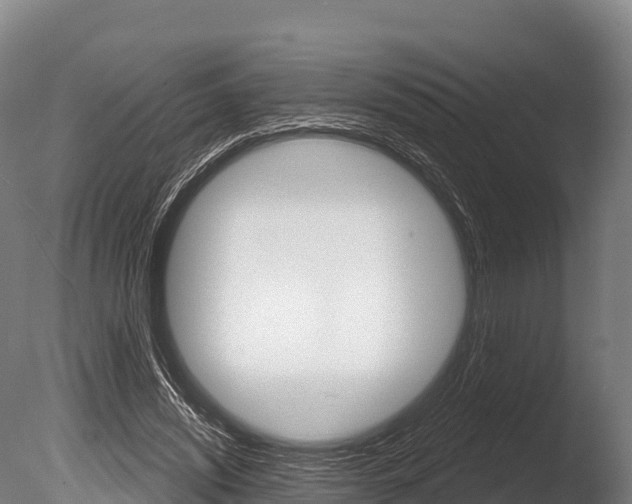 X0000086070444200703231018