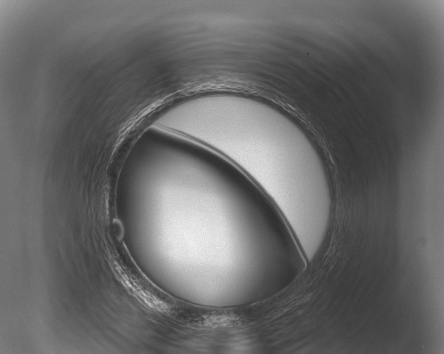 X0000086070446200703231018