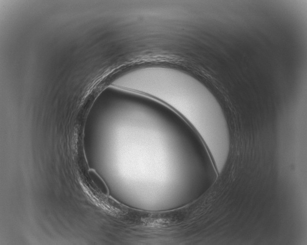 X0000086070448200703231018