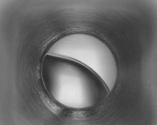 X0000086070450200703231018