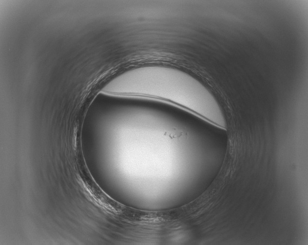 X0000086070454200703231018