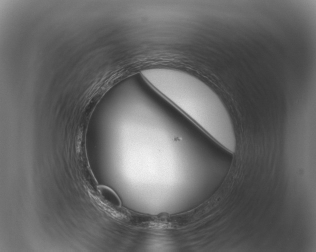 X0000086070458200703231018