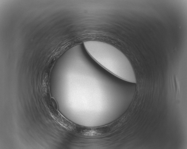 X0000086070460200703231018