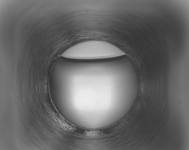 X0000086070461200703231018