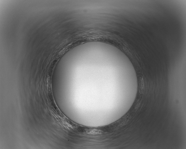 X0000086070463200703231018