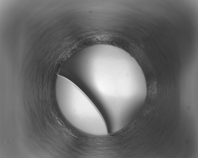 X0000086070464200703231018