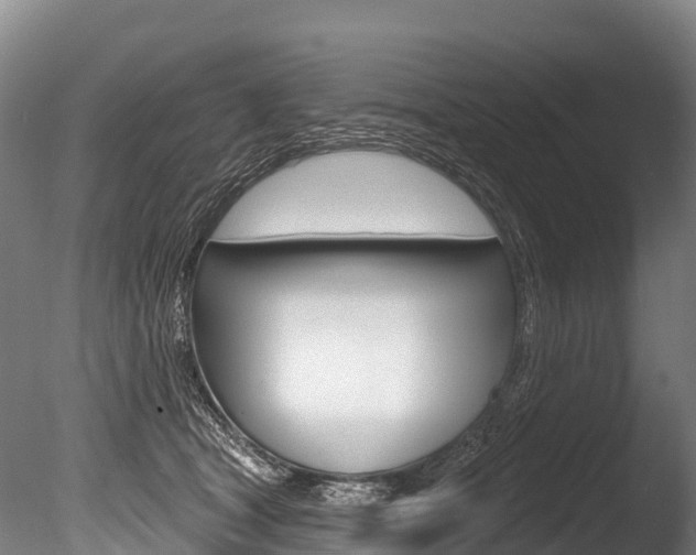 X0000086070465200703231018