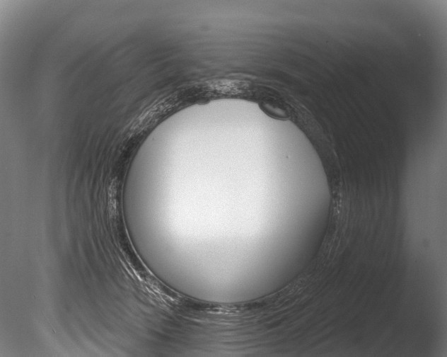 X0000086070466200703231018