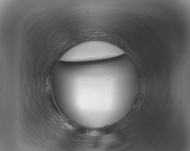X0000086070467200703231018