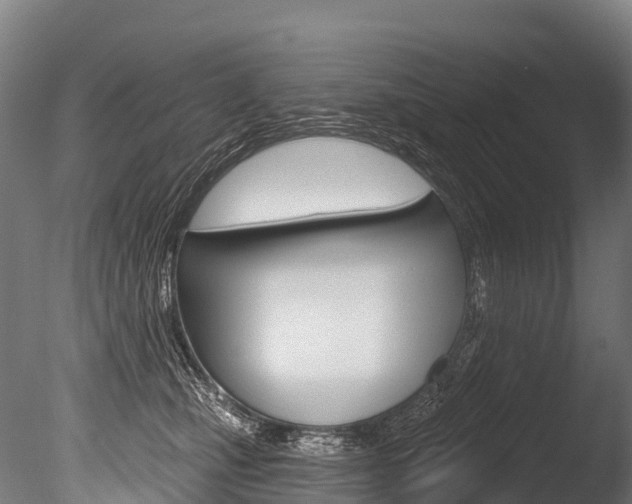 X0000086070471200703231018
