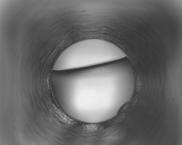 X0000086070473200703231018