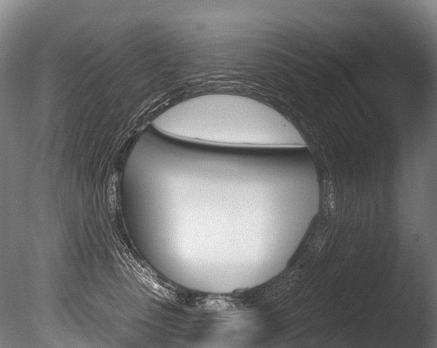 X0000086070475200703231018