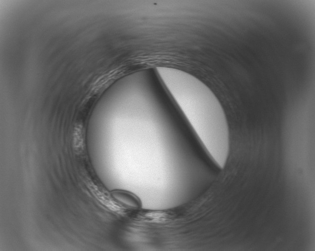 X0000086070478200703231018