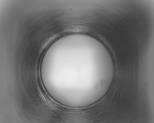 X0000086070482200703231017